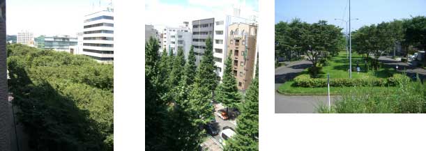 マクロな視点>中心市街地の街路樹(定禅寺通・広瀬通)と郊外住宅地の街路樹(八木山南)