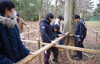 上野山小学校楽元の森~ツリーハウスプロジェクト~