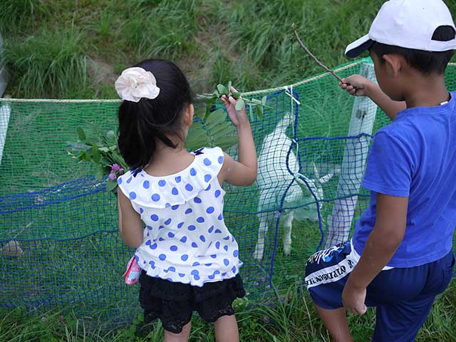 イベント後に楽しいそうにヤギ達と遊ぶ子供たち。